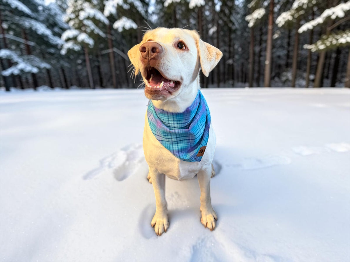 FROSTBITE PUPPY FLANDANAS