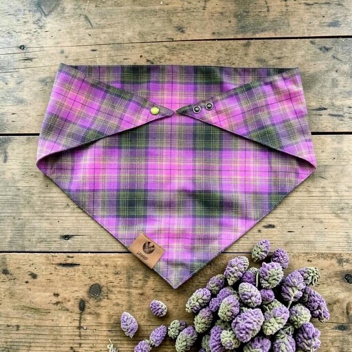 PURPLE HAZE PET FLANDANAS