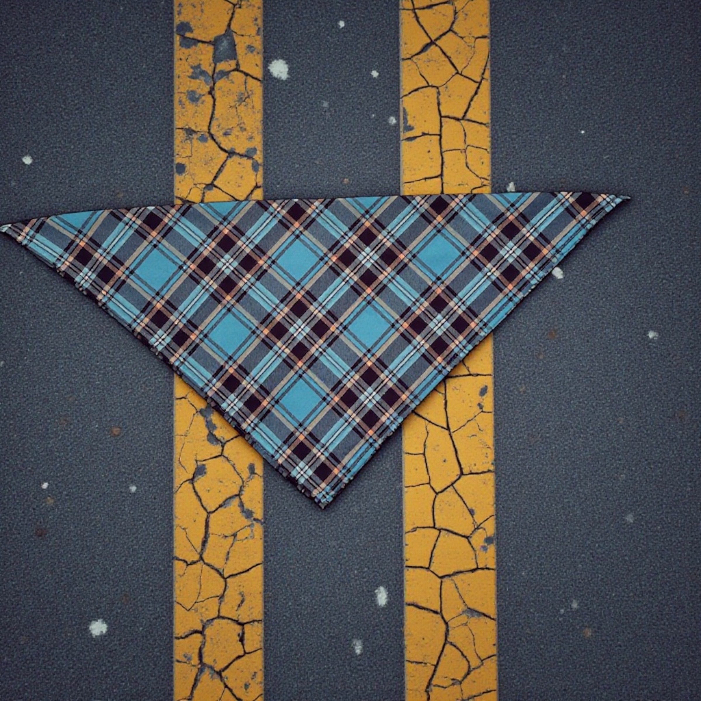 AMERICAN MUSCLE FLANDANA