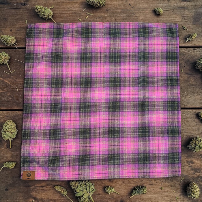 PURPLE HAZE FLANDANA