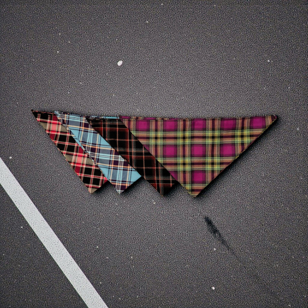 BLACK WIDOW FLANDANA